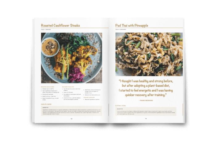 Bali Vegan Book opened and showing Roasted Cauliflower Steaks from The Shady Shack and a Pad Thai recipe. Bali vegan guide. Easy vegan recipes.