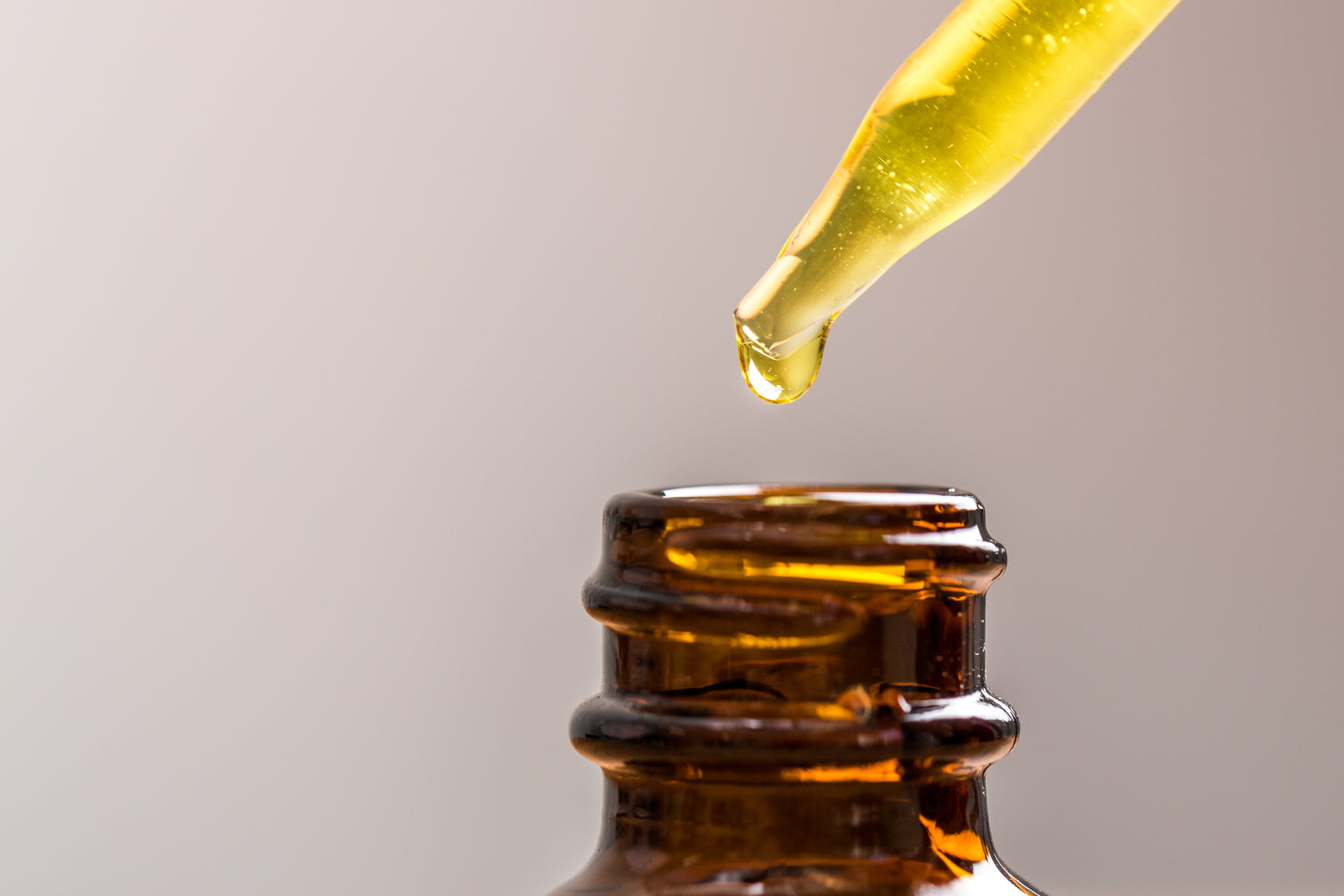 Bloome Moringa Seed Oil
